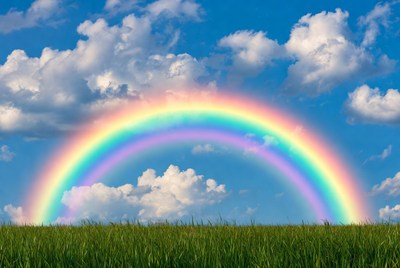 Rainbow over green grass field