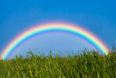 Rainbow over green grass field