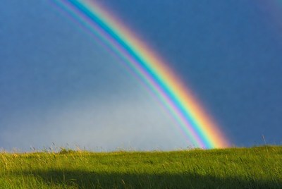 Rainbow over green grass field