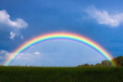 Vibrant Rainbow Over Green Field