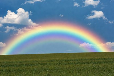 Rainbow over green field
