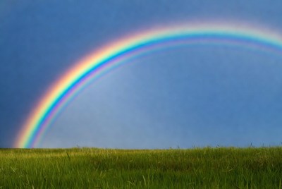 Rainbow over green field