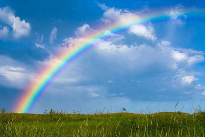 Vibrant Rainbow Over Green Grass Field
