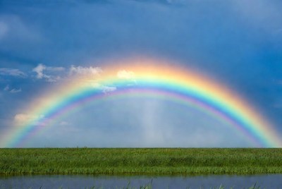 Vibrant Rainbow Over Green Grass Field