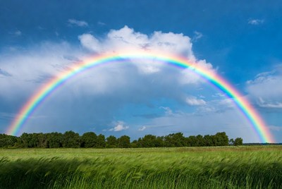 Rainbow over green field