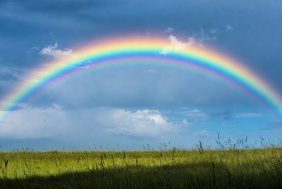 Rainbow over grassy field