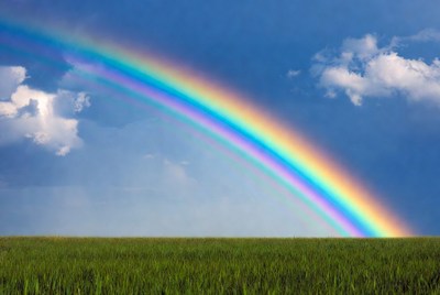 Vibrant Rainbow Over Green Grass Field