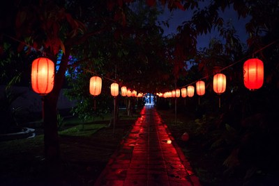 Red lanterns hanging over tree pathway