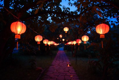 Red lanterns lighting garden pathway