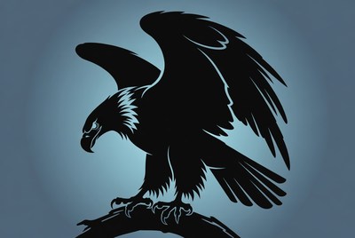 Silhouette of eagle on branch
