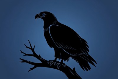 Black silhouette eagle on branch