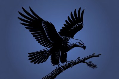 Bald eagle perched on branch silhouette