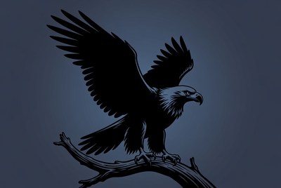 Bald eagle perched on branch silhouette