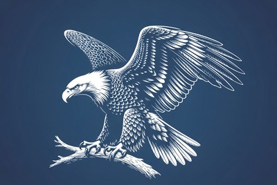 Bald Eagle Perched on Branch