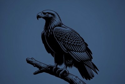 Bald Eagle Perched on Branch