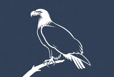 Bald Eagle on Branch Silhouette