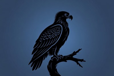 Silhouette Eagle Perched on Branch