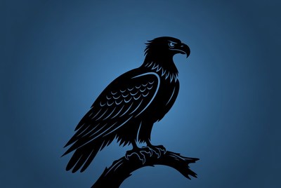 Black silhouette eagle on branch