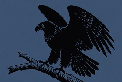 Black silhouette eagle on branch