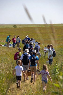 Group hiking in wildflower field