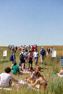 Group picnic on grassy field