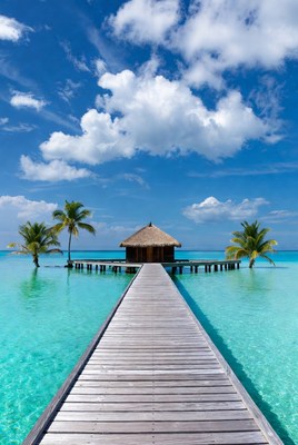 Overwater Bungalow with Wooden Pier