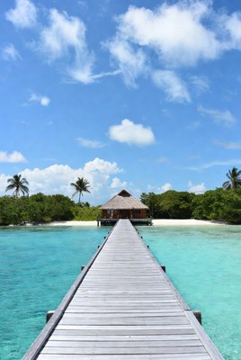 Wooden pier leading to beach bungalow