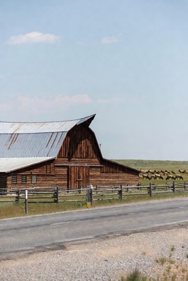 Red barn with horses in field