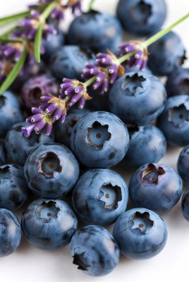 Blueberries with Lavender Sprigs
