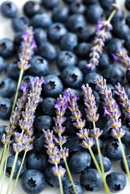 Blueberries with Lavender Sprigs