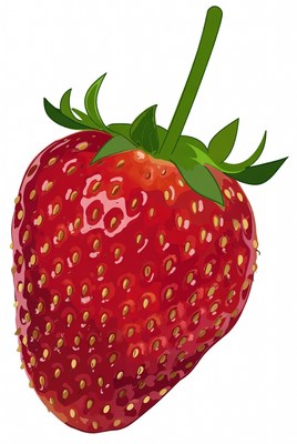 Red Strawberry Fruit Illustration