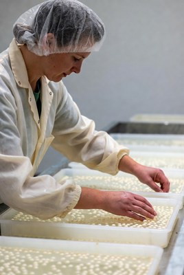 Woman working with tapioca pearls