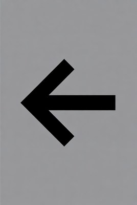 Black Left Arrow Icon