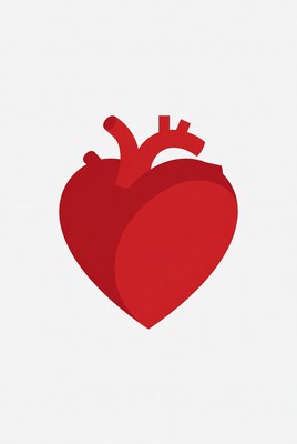 Red Anatomical Heart Illustration