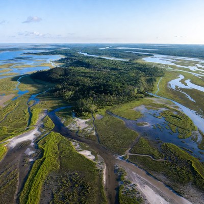 Aerial View of Wetlands and Marshes