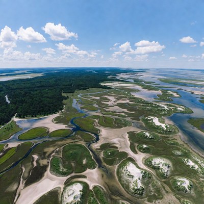 Aerial View of Coastal Marshland