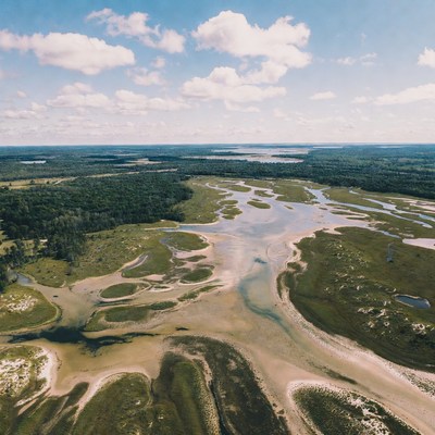 Aerial View of Marshland Wetlands