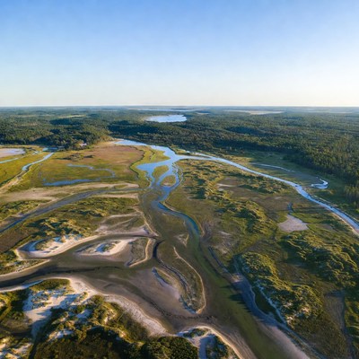 Aerial view of winding river in forest