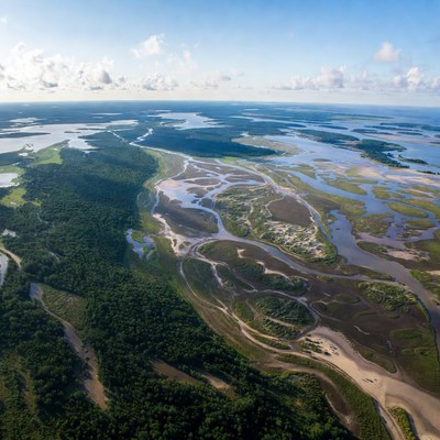 Aerial View of Mangrove Wetlands