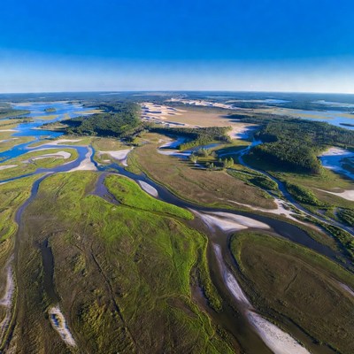 Aerial View of Meandering River Delta