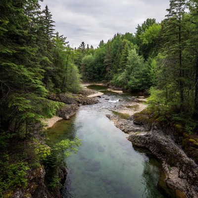 Forest River with Clear Green Waters