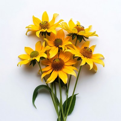 Bouquet of yellow daisies