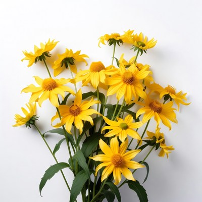 Bunch of yellow daisies
