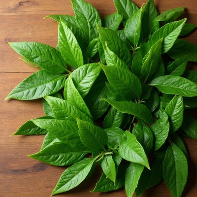Fresh green leaves on wooden table