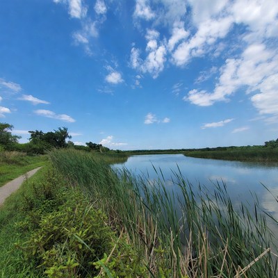 Scenic river path with reeds