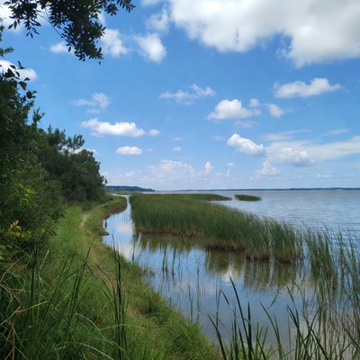 Marsh Trail by Calm Lake