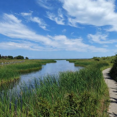 Marsh Creek with Path and Blue Sky