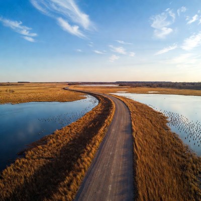 Dirt Road Through Golden Wetlands