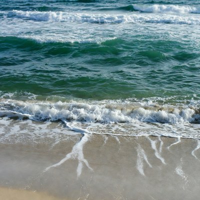 Ocean Waves Crashing on Sandy Beach