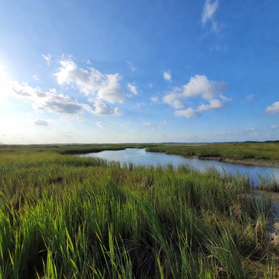 Marsh Creek in Grassy Wetlands